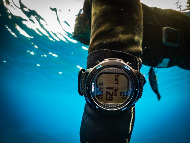 Best dive watches under $1000 How Money Works